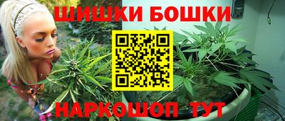 сатива Гай