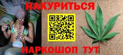 сатива Гай