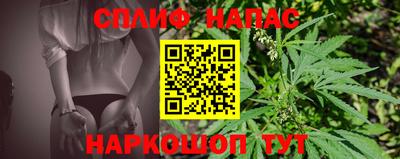 сатива Гай