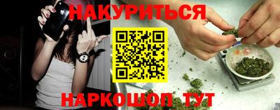 дживик Гатчина