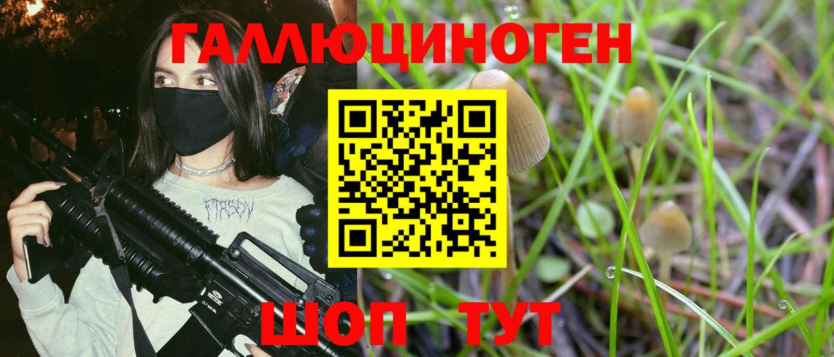 Псилоцибиновые грибы прущие грибы Губкин