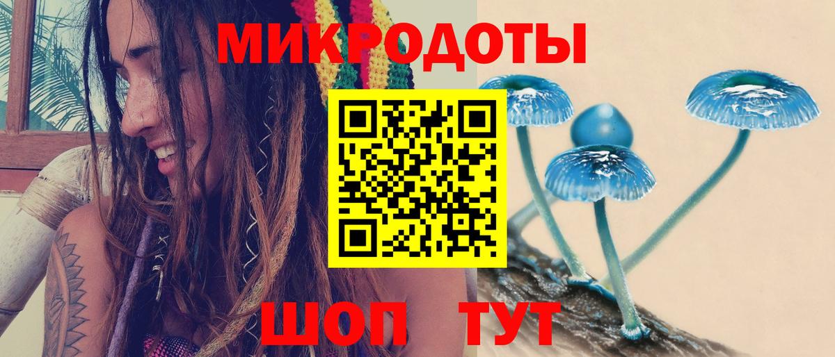 Псилоцибиновые грибы MAGIC MUSHROOMS  даркнет сайт  Губкин  Вход с VPN 
